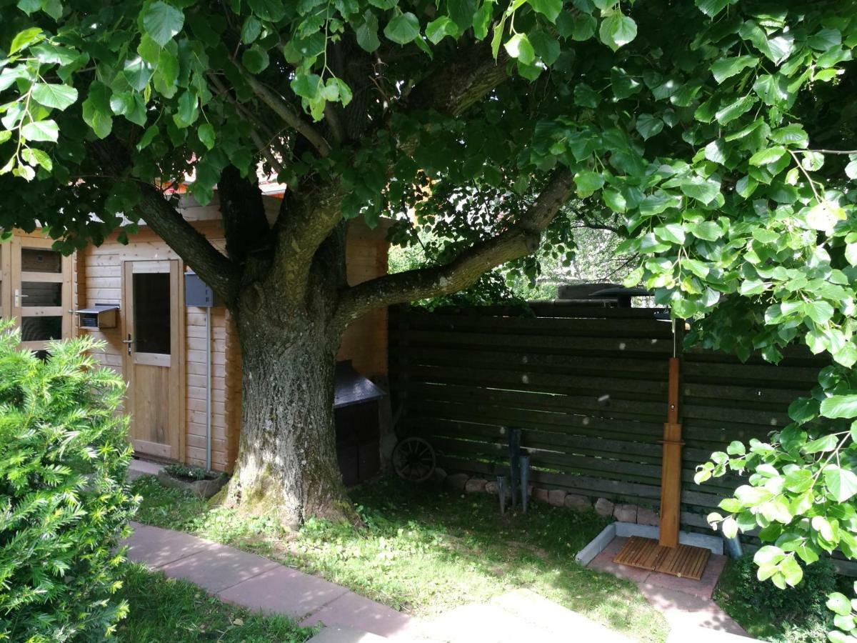 Ferienhaus Glucksmoment Grasellenbach Exterior foto